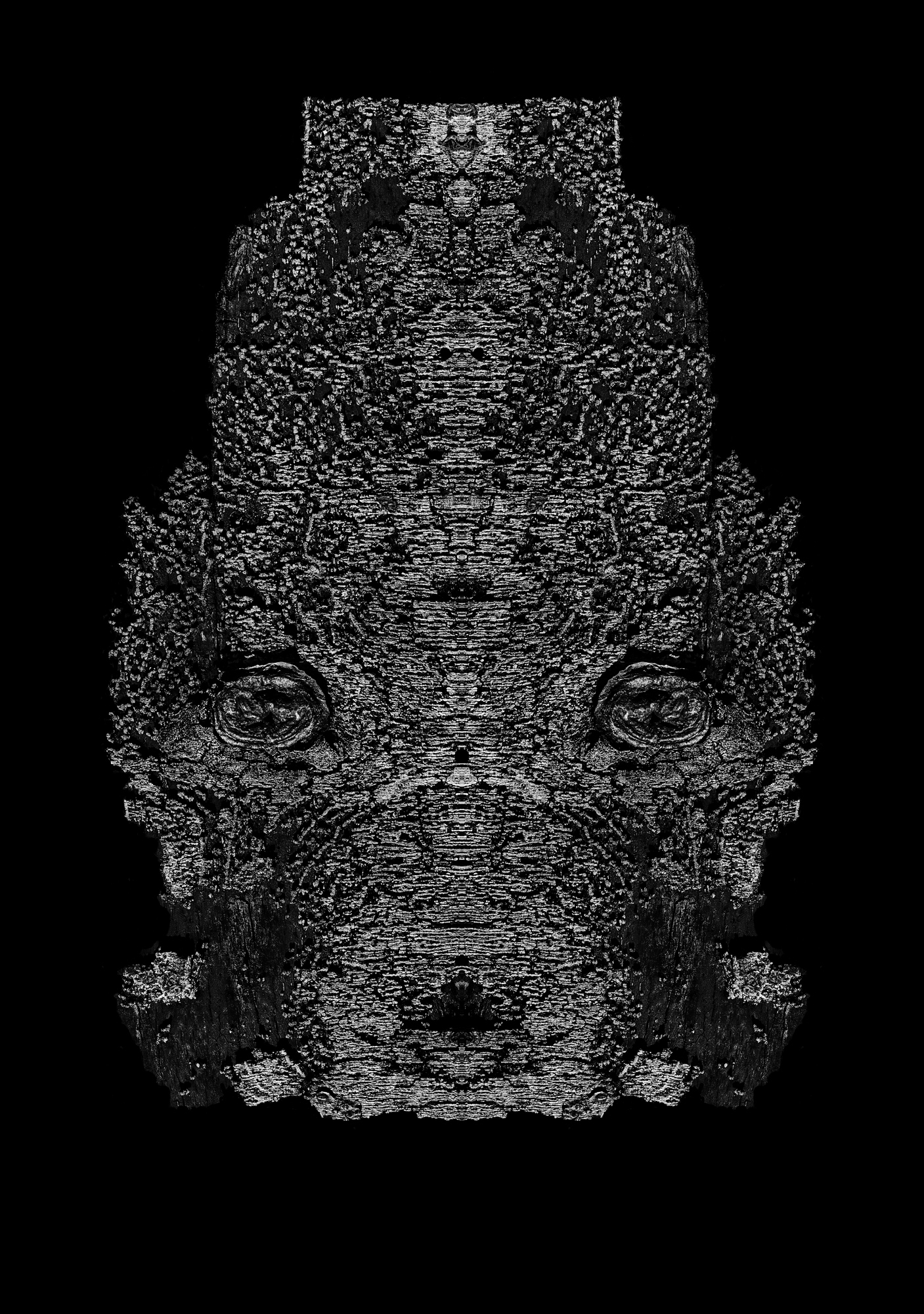 Fine Art Photography