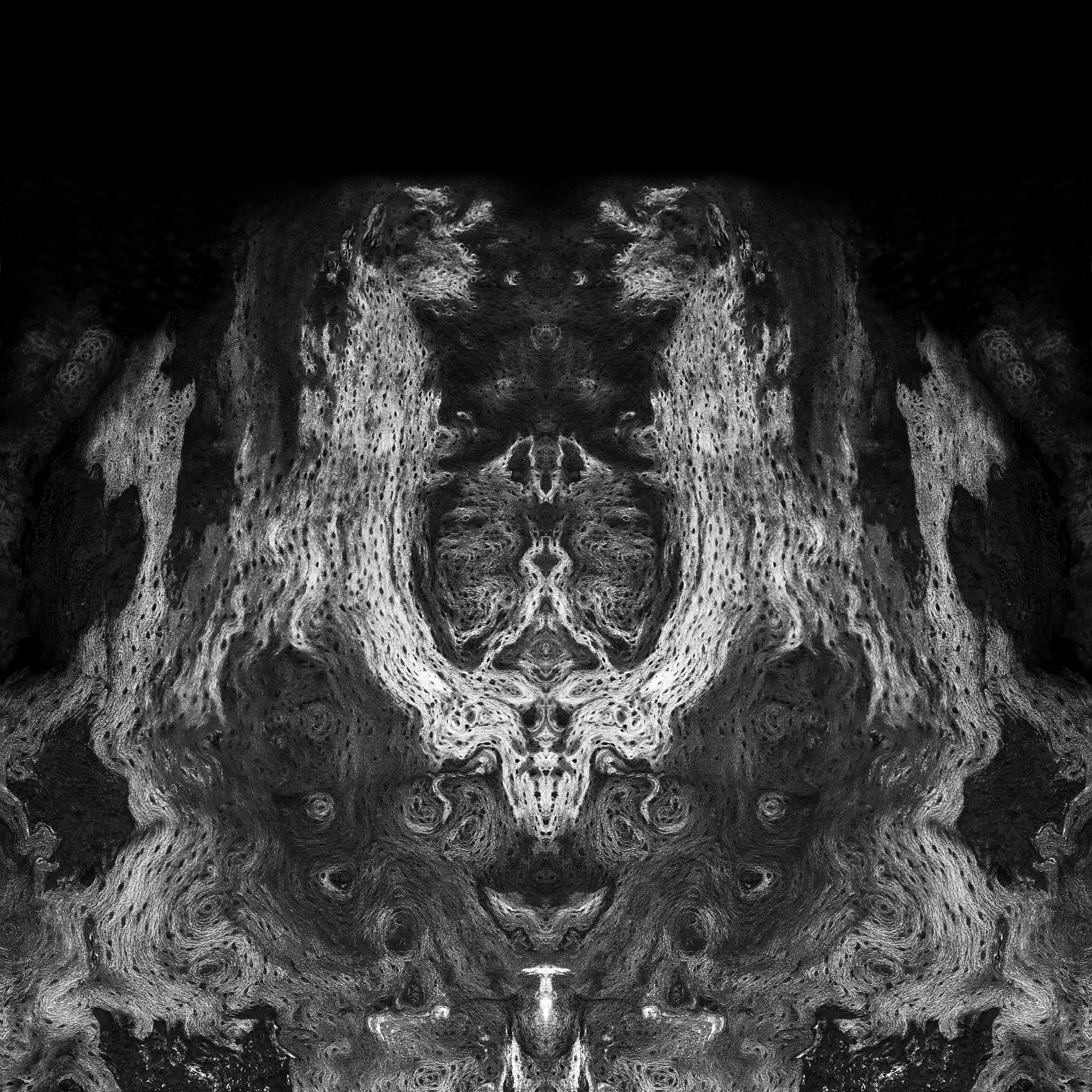 Fine Art Photography