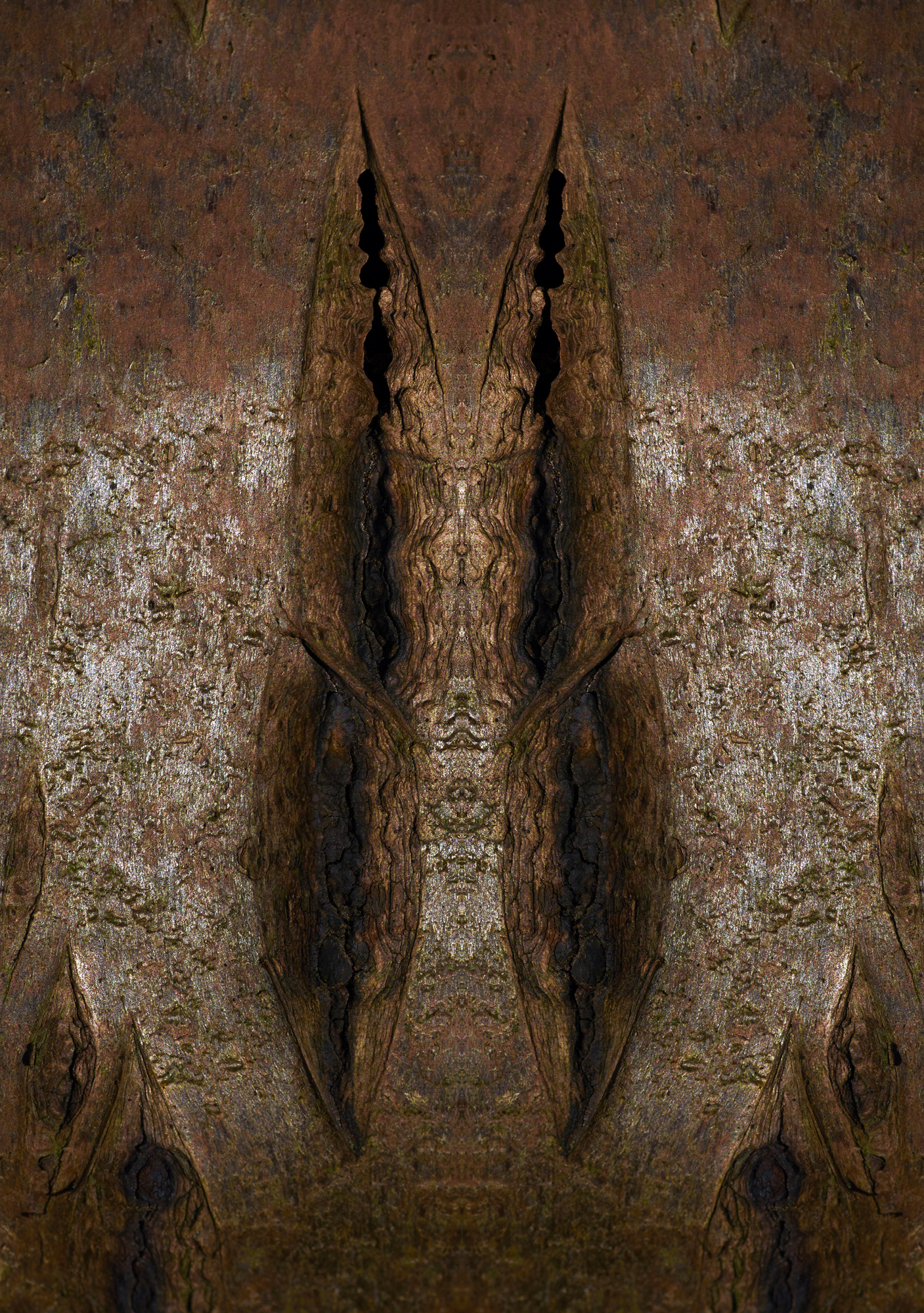 Fine Art Photography