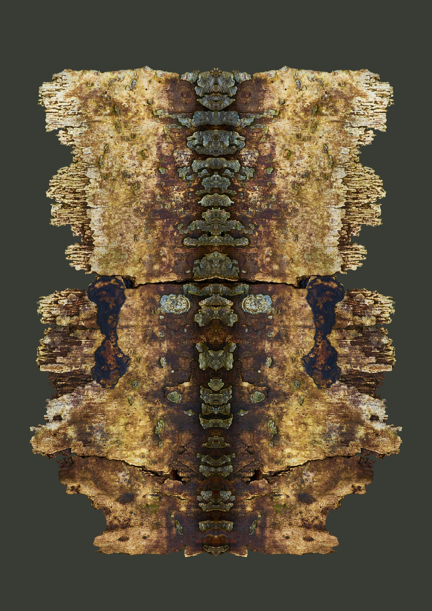 Fine Art Photography