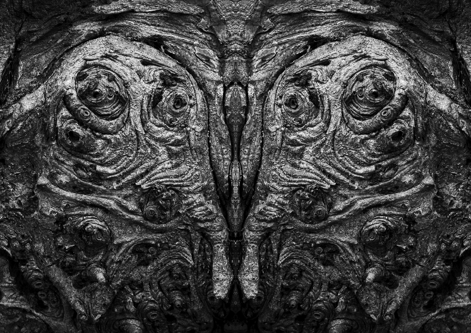 Fine Art Photography
