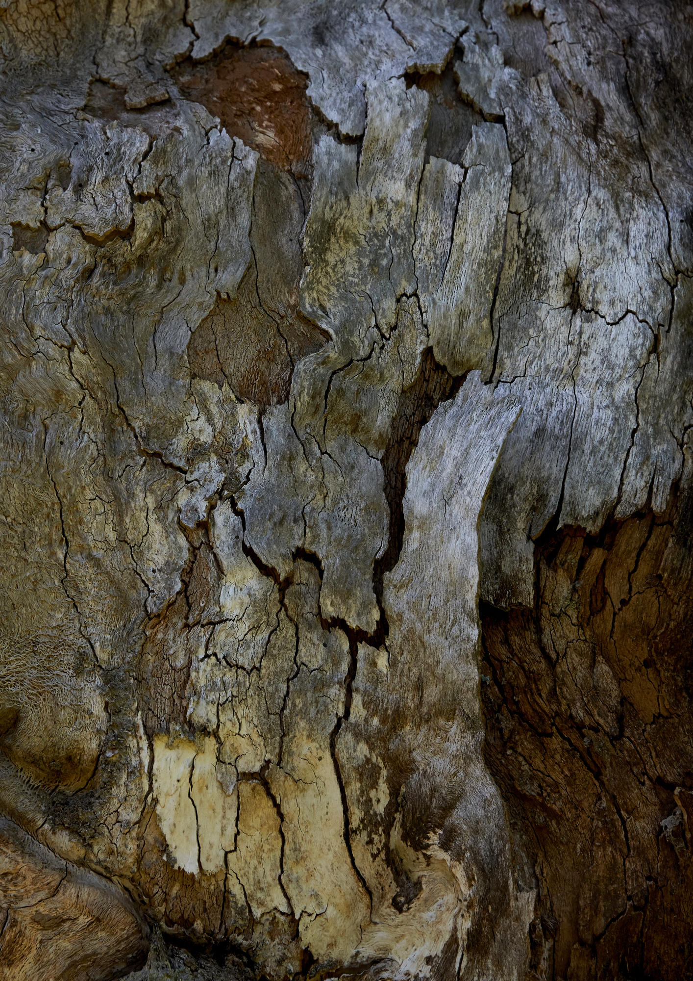 Fine Art Photography