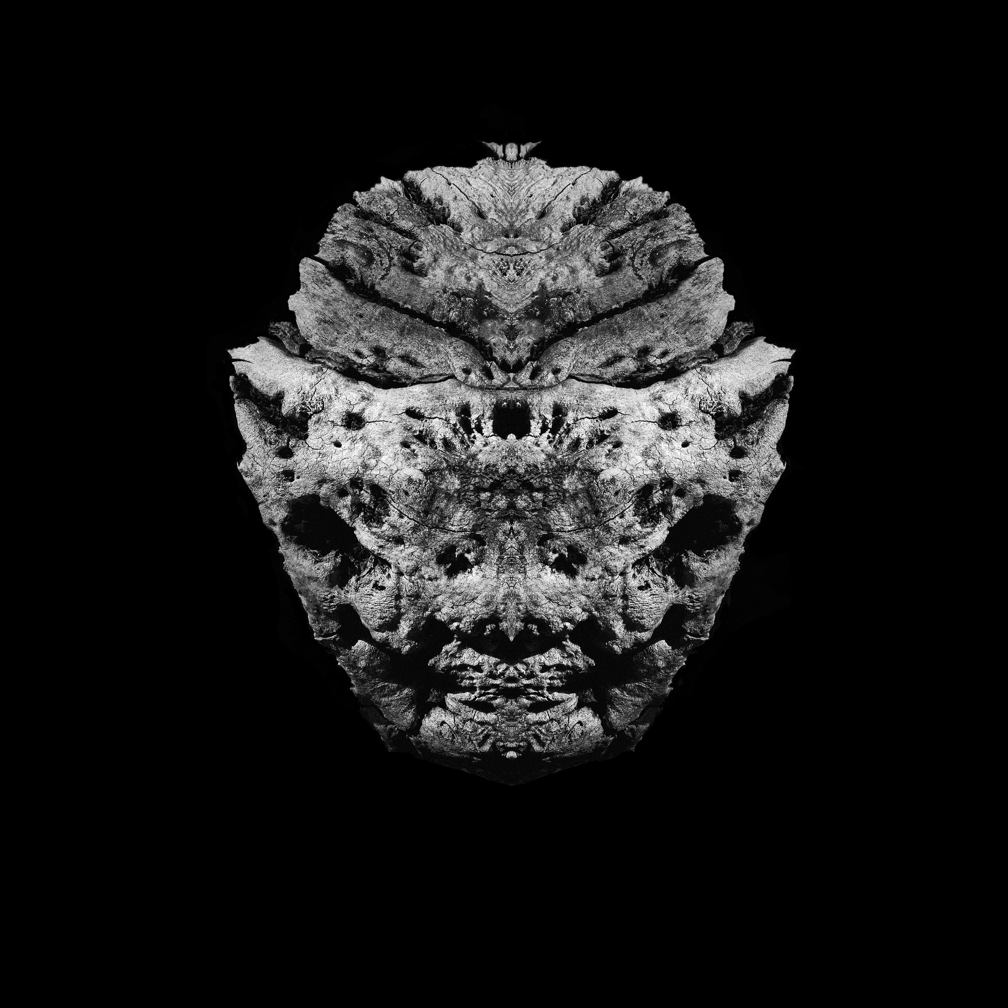 Fine Art Photography