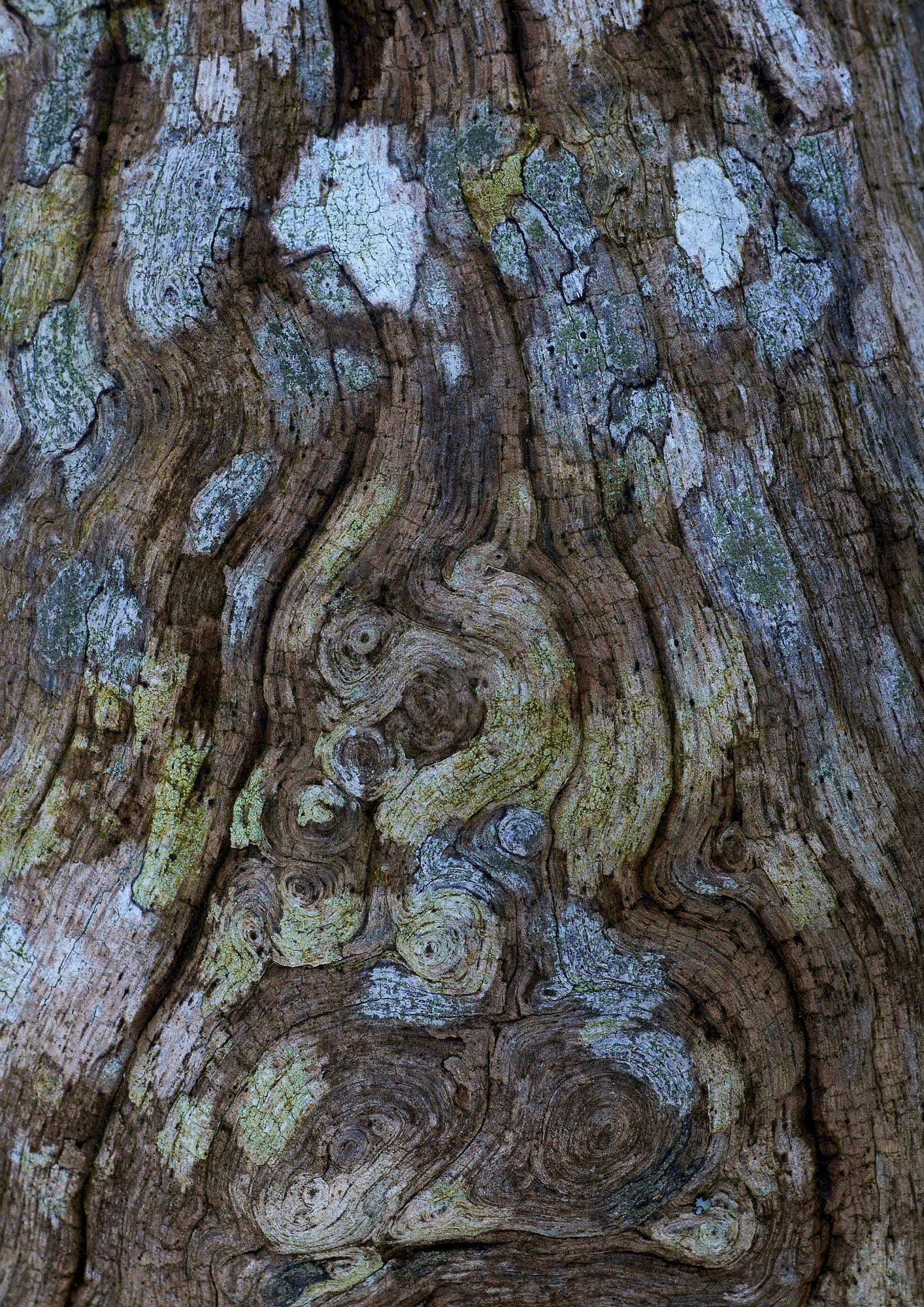 Fine Art Photography