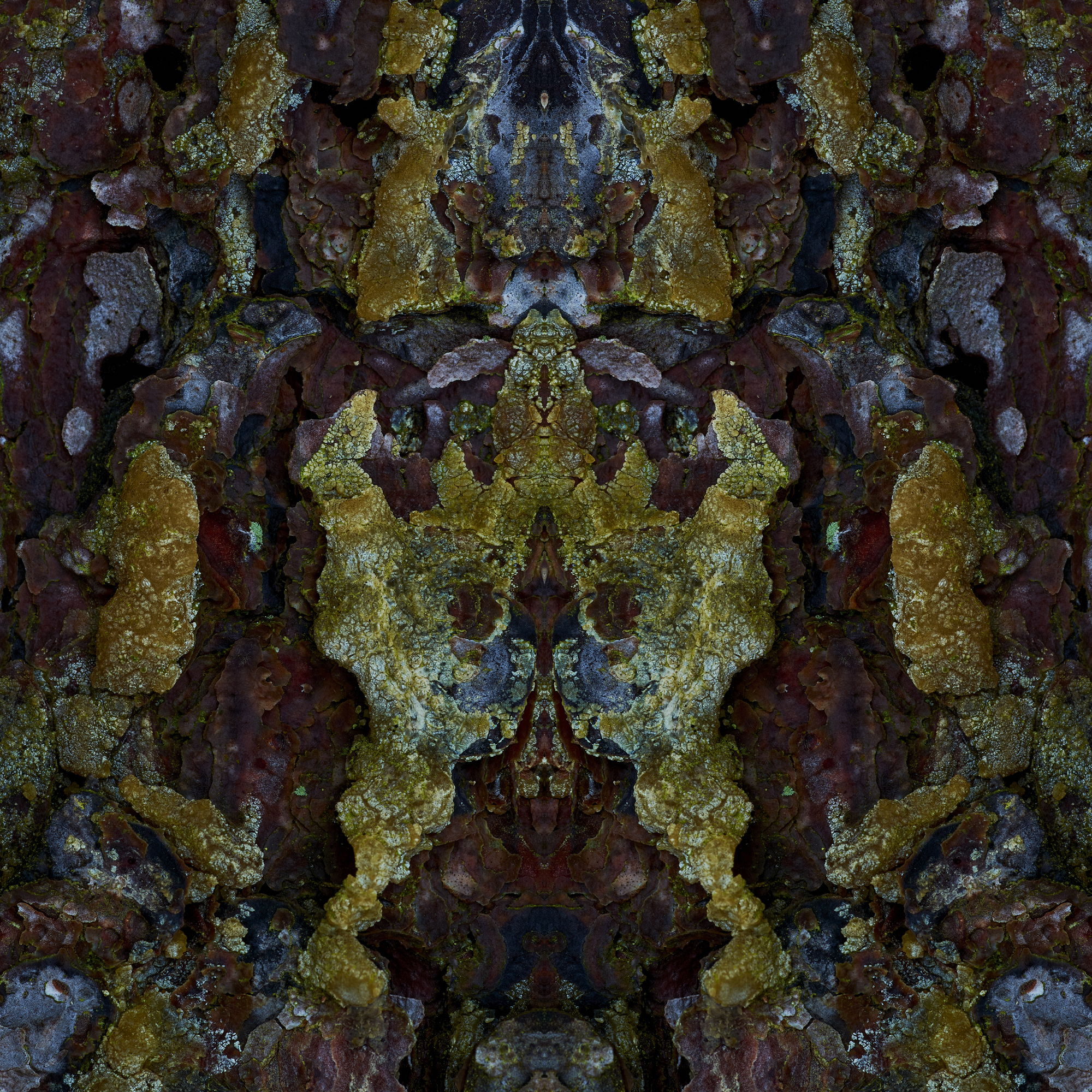 Fine Art Photography