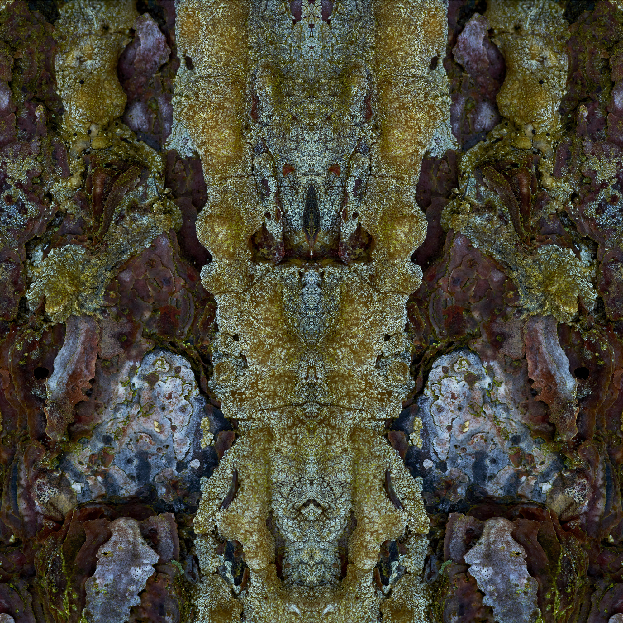 Fine Art Photography