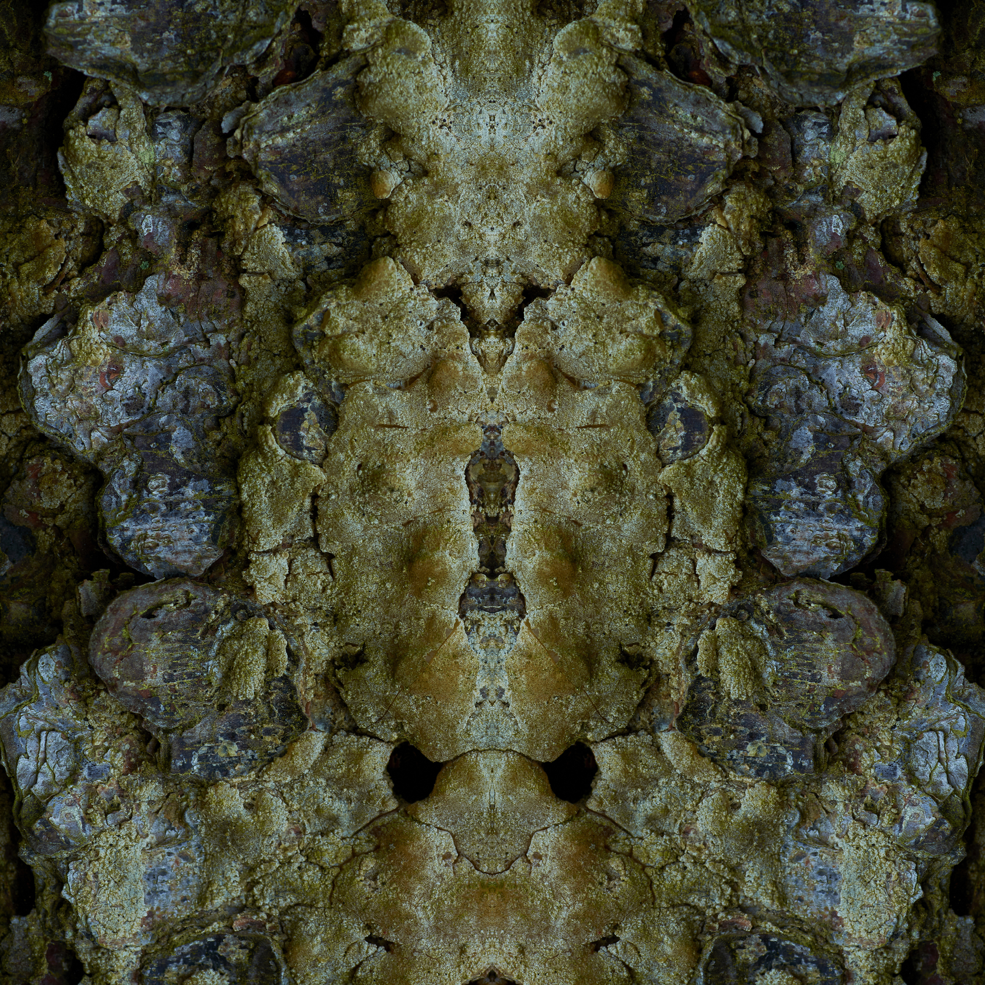 Fine Art Photography
