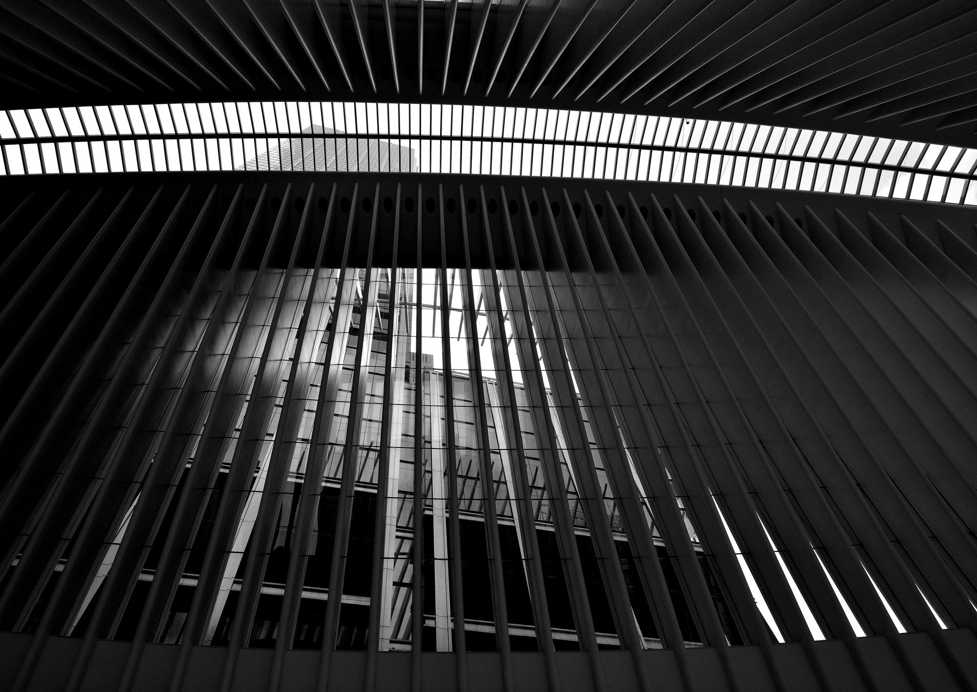 Fine Art Photography