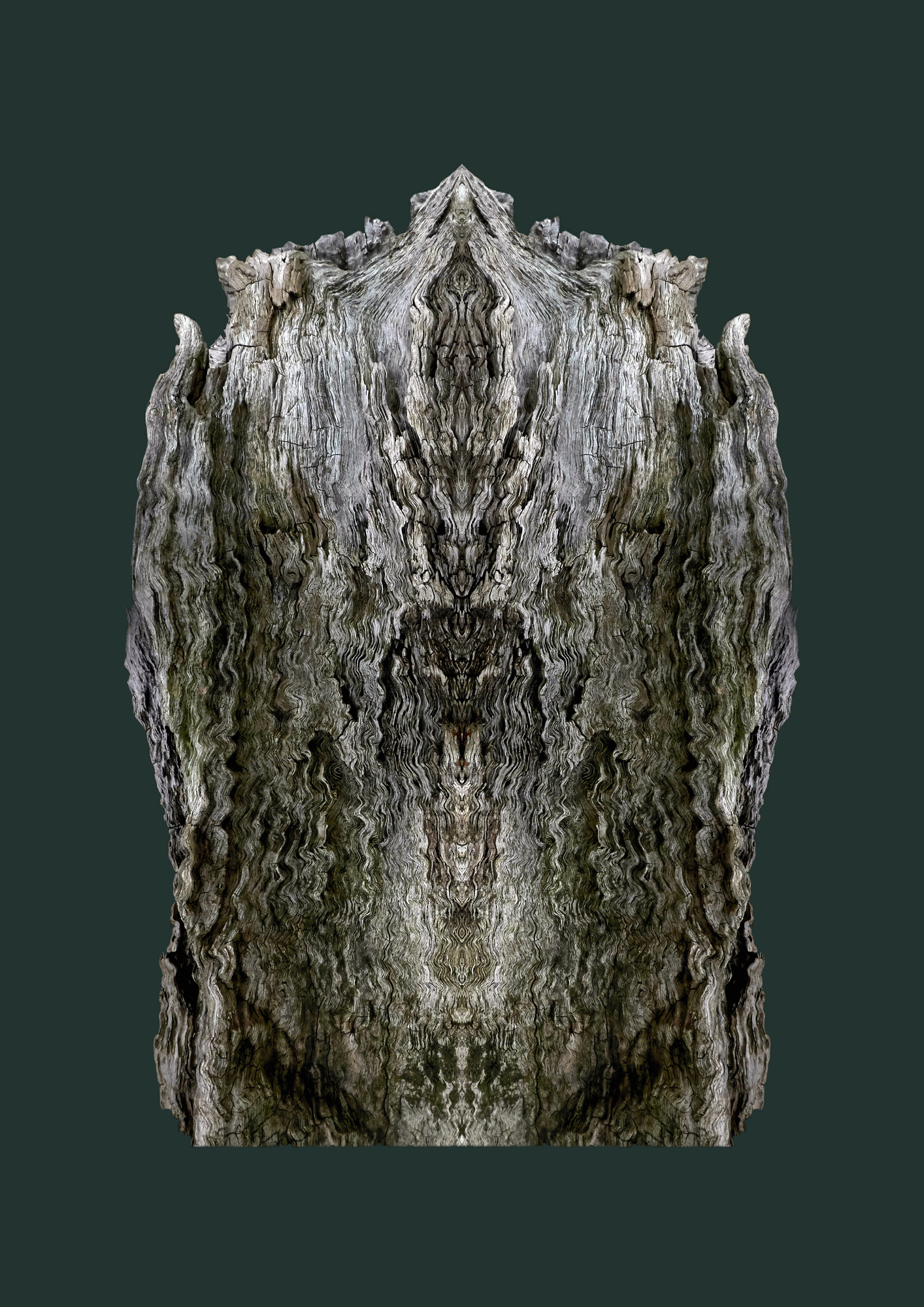 Fine Art Photography