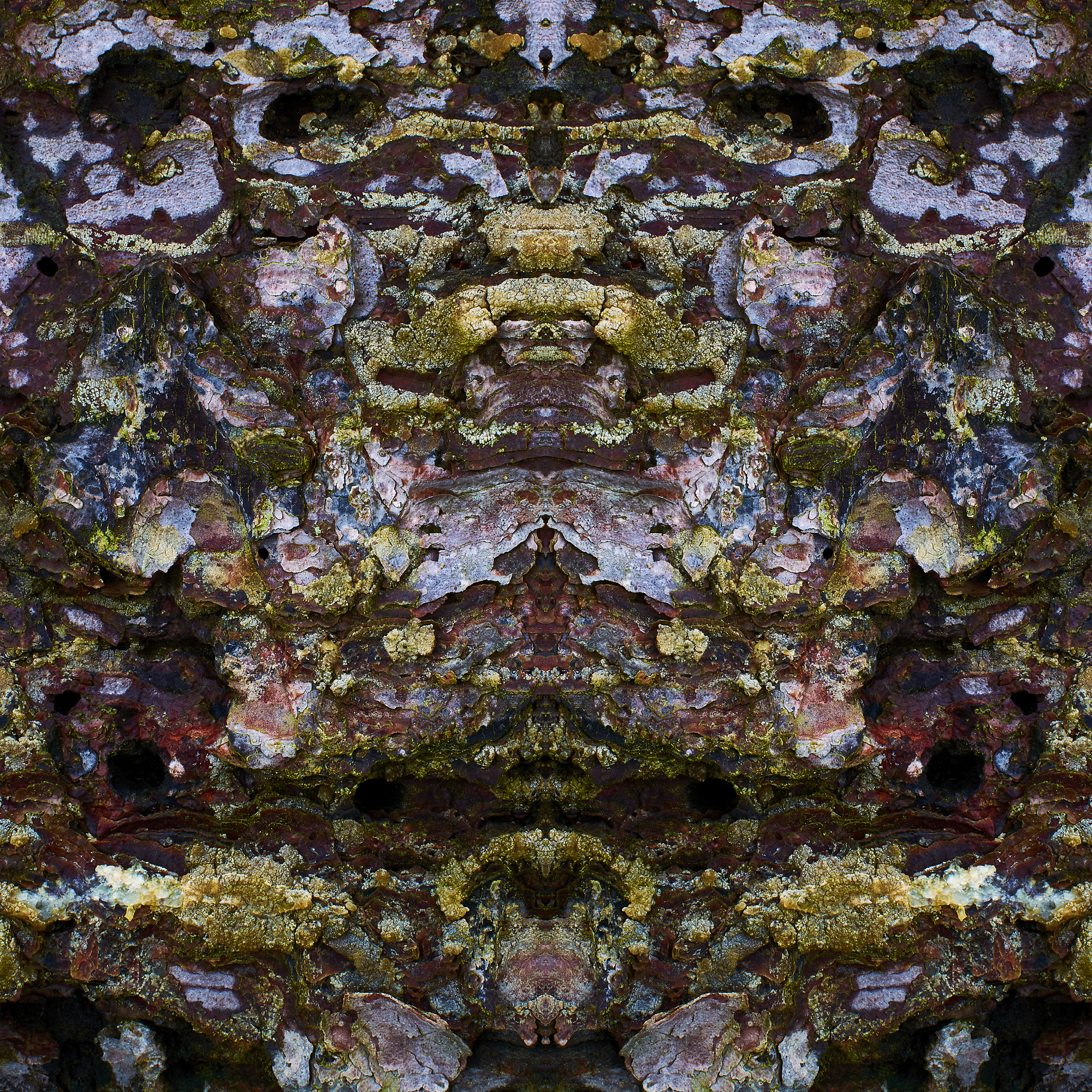 Fine Art Photography