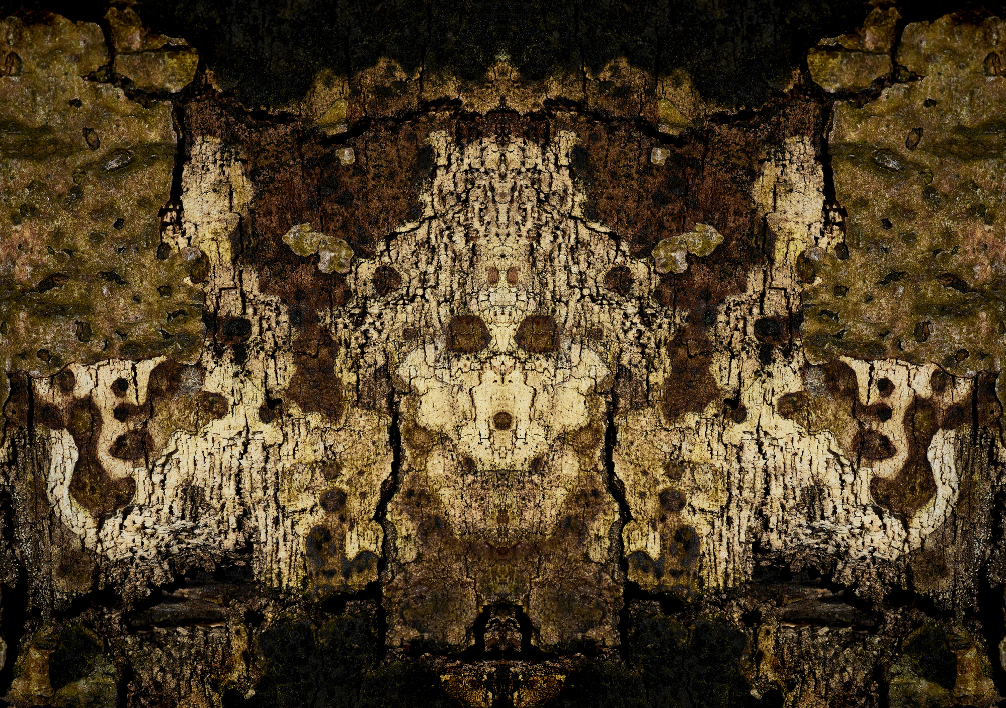 Fine Art Photography