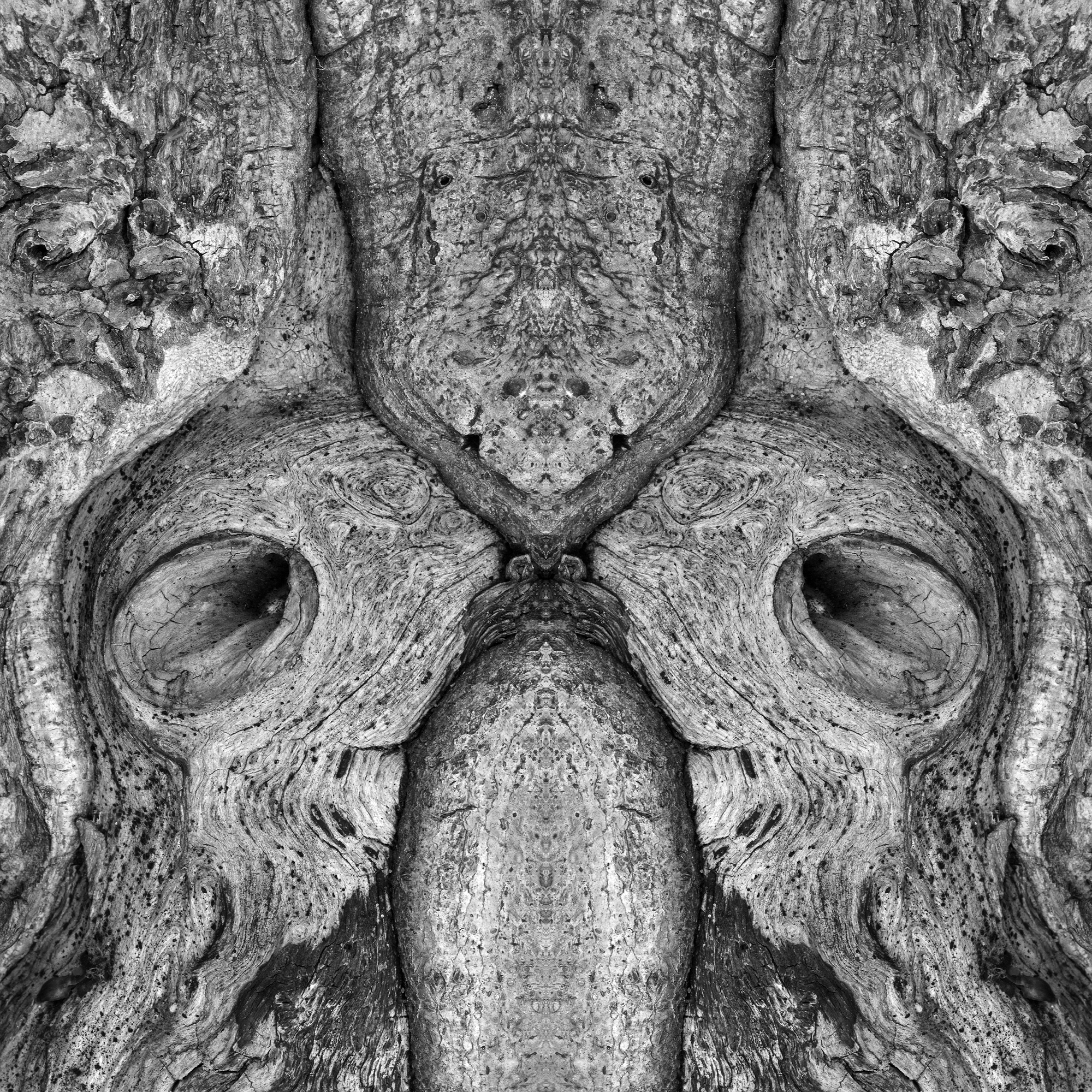 Fine Art Photography