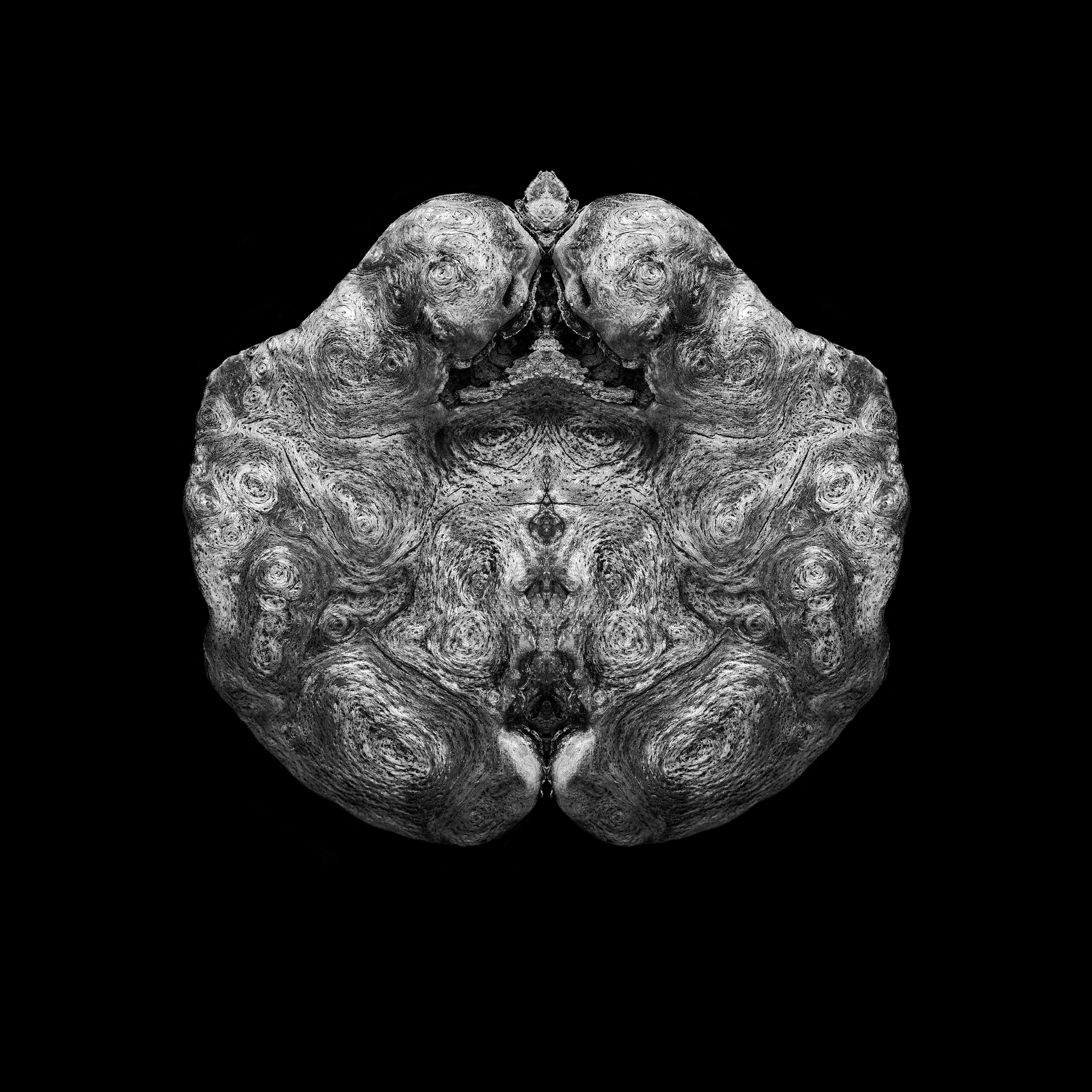Fine Art Photography