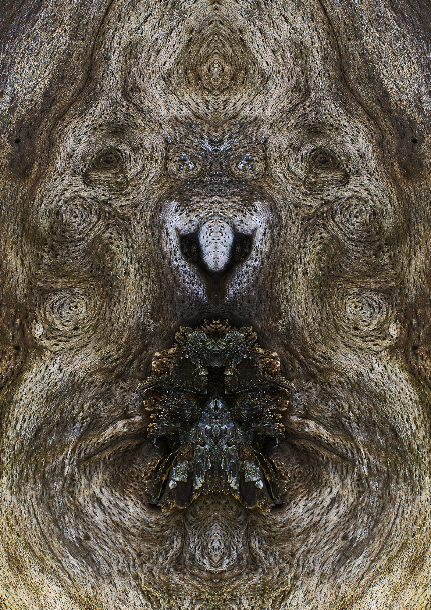 Fine Art Photography