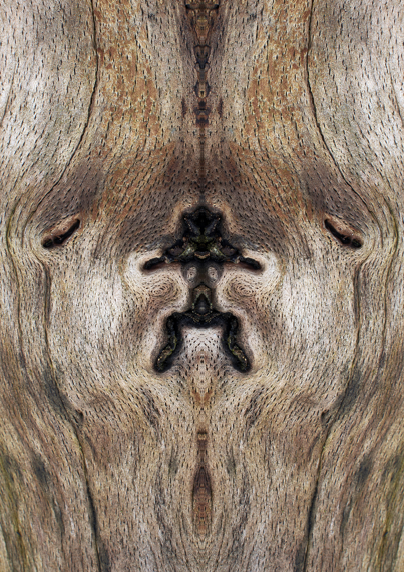 Fine Art Photography