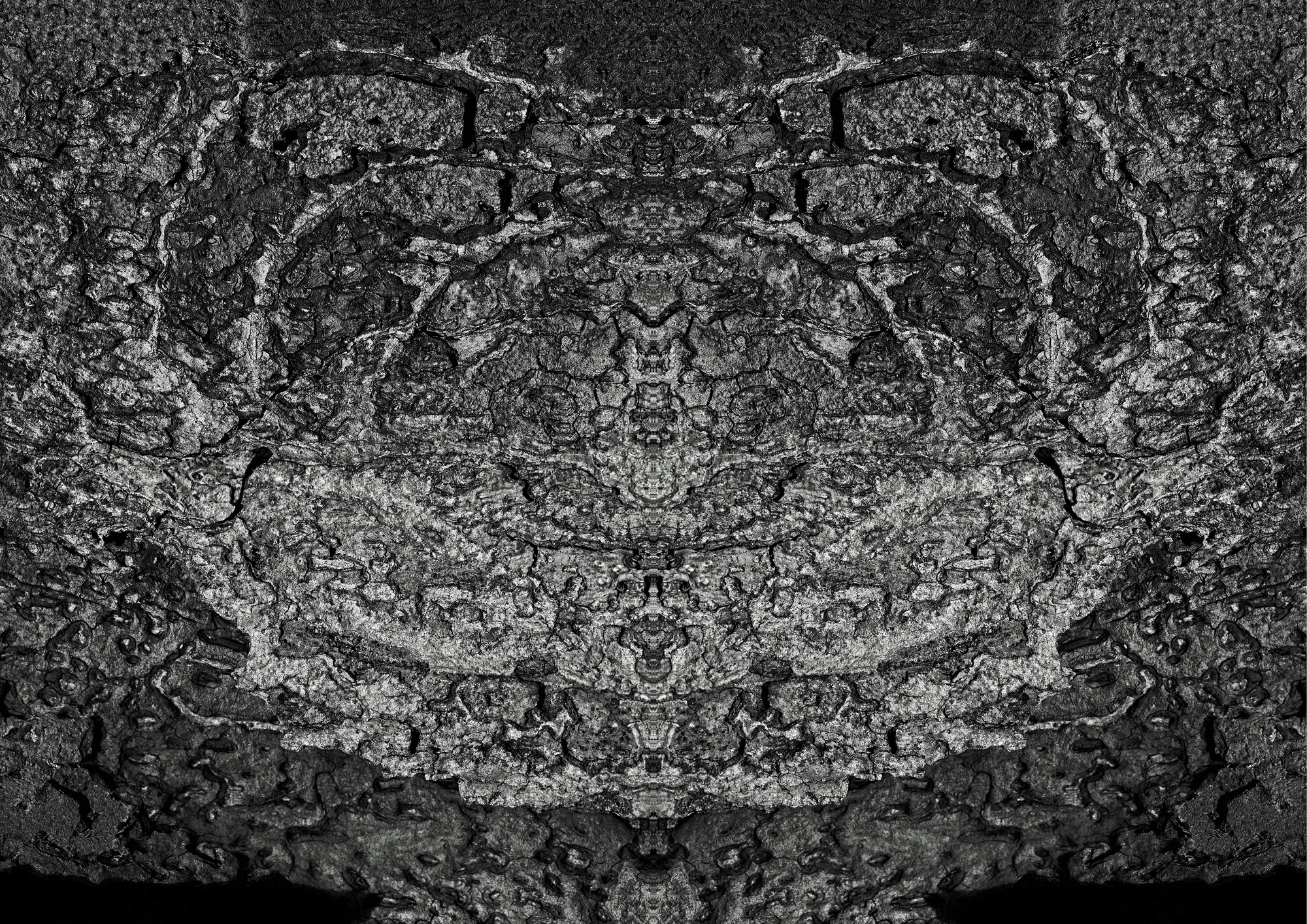 Fine Art Photography